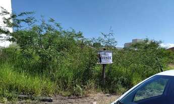 Imagem 2: Terreno Residencial para Venda em Canoas, Paradis