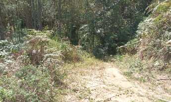 Imagem 2: Terreno com ribeirao 65 mil reais