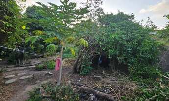 Imagem 5: Galpão terreno 1452m2 liga 9 8 7 4 8 3 1 0 8 Diego9989f oportunidade