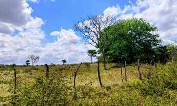 Imagem 5: 34,5 Tarefas (150.282m²