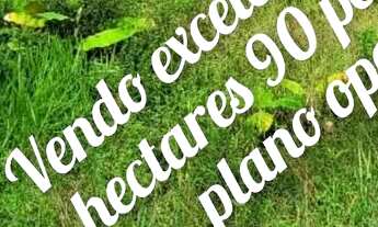 Imagem: Vendo maravilhoso sítio em Valença p