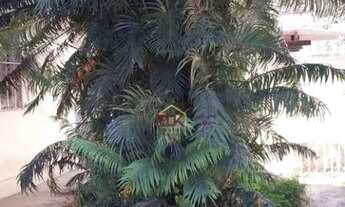 Imagem: Terreno à venda, 462 m² por R$ 1.060.000