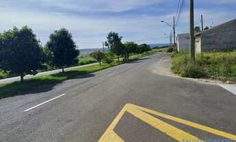 Imagem 7: TERRENO - JARDIM NOÊMIA - SP