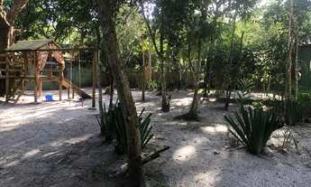 Imagem 4: Estrada da Balsa - Arraial D'ajuda