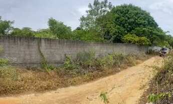 Imagem 7: Terreno 2.208 m² em Pium/Nísia Floresta ? 140 m do Posto Setta ? Escriturado