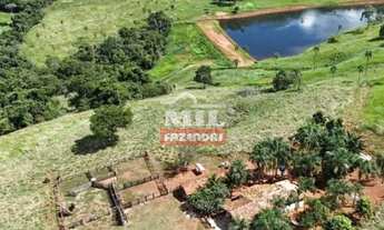 Imagem 5: Fazenda 60 Alqueires (290,4 Hectares) Goias velho - GO