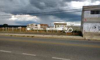 Imagem 4: Área a venda com 1800m²