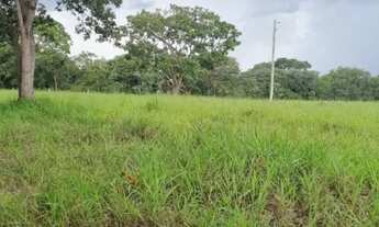 Imagem 2: Vende-se uma excelente fazenda de 226 hectares