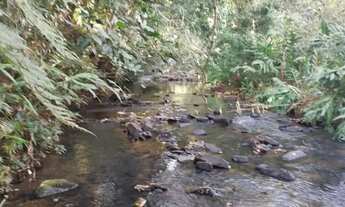 Imagem 4: Sitio em cajuru 6 alqueires 1.500.000.00 ( d