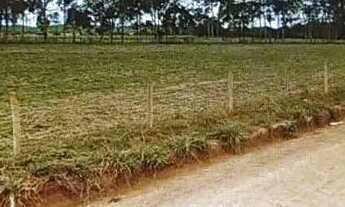 Imagem 3: Área À Venda Próximo À Br-153