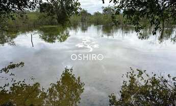 Imagem 5: FAZ. DUPLA APTIDÃO EM BRITÂNIA GO - NIL. CÓD. 13712