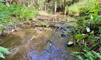 Imagem 4: Fazenda 48 Alqueires Cultura!