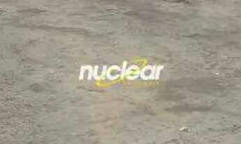 Imagem 6: Terreno à venda, Parque Boturussu - São Paulo/SP