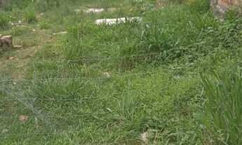 Imagem 3: Vendo terreno prd 107 de gravatai