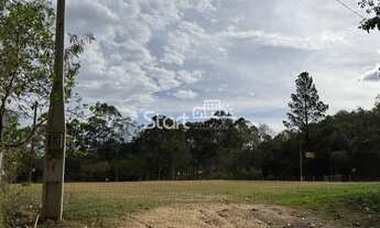 Imagem 4: área - Joaquim Egídio - Campinas