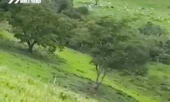 Imagem 3: Vende-se excelente Fazenda no município de Presidente Kennedy - ES