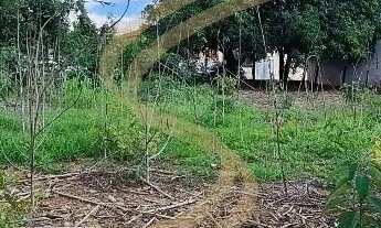 Imagem 2: Terreno à Venda em Vila Formosa, São José do Rio Pardo - SP