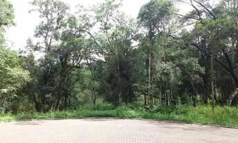 Imagem 5: Lote em vivendas do arvoredo - Carniel - Gramado/RS