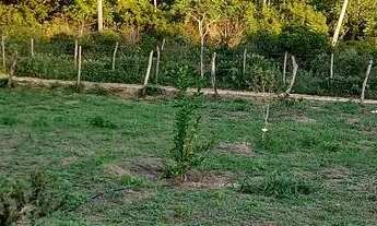 Imagem 4: TERRENO PARA CHÁCARA R$ 70000