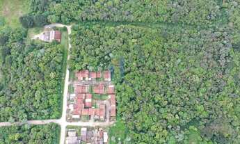 Imagem 6: Terreno para Venda em Colombo, SÃO DIMAS