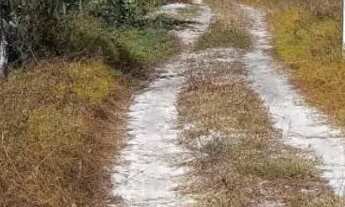 Imagem: Terreno fortin