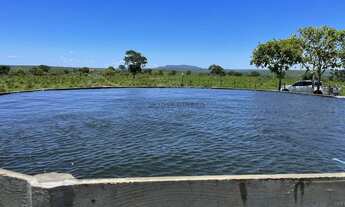 Imagem 3: Fazenda de 150 hectares toda escriturada e em dia, na beira do lago do manso