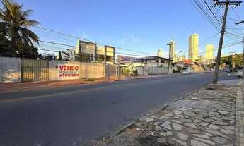 Imagem 3: Terreno Murado Comercial / Residencial. Plano. Oportunidade!!!