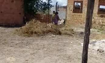 Imagem 4: Vende-se terreno