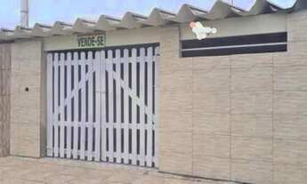 Imagem 2: K.O) Campo limpo