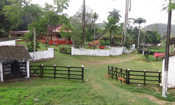 Imagem 2: Fazenda com 31hc no Cabo a 500m da BR-101