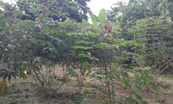 Imagem 7: Lote todo murado com 14,00 metros de frente bairro Marimbá -Betim