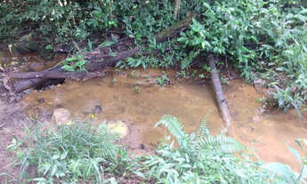 Imagem 4: Fazenda 8 ha, próximo ao café da Estrada, Entre Mateus Leme e Itaúna, com agua
