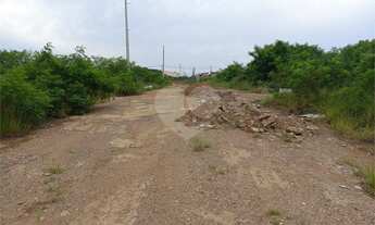 Imagem 5: Terreno plano contendo 150,00 m² de área total