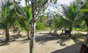 Imagem 6: Sitio Rio Preto da Eva km 91