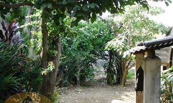 Imagem 7: TERRENO à venda, Mirandópolis - São Paulo/SP