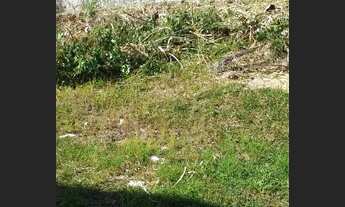 Imagem 3: Lote/Terreno para venda possui 600 metros quadrados em Freguesia (Jacarepaguá) - Rio de Ja