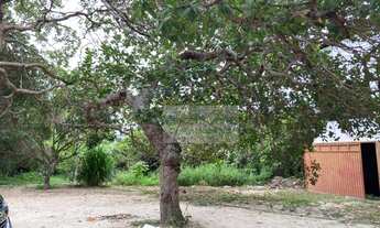 Imagem 4: Terreno perto da BR-116 e da Fábrica Fortaleza