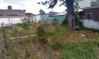 Imagem 7: Porto Alegre - Terreno Padrão - Tristeza