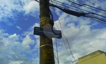 Imagem 4: Chácara para Venda - Horto Florestal