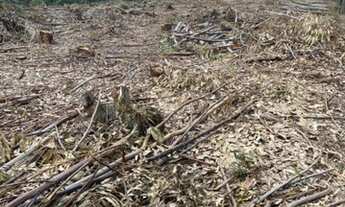 Imagem 3: últimas ofertas