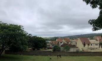 Imagem 7: Porto Alegre - Terreno Padrão - Campo Novo