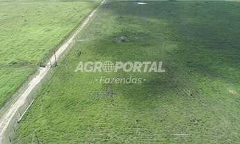 Imagem 4: Fazenda no Pará - Tomé-Açu - 798 ha (165 alq