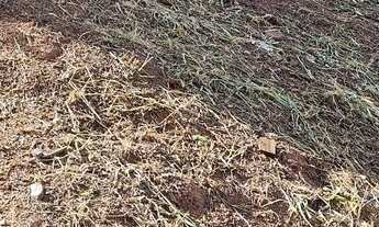 Imagem 3: Vendo terreno 231m2 R$60000,00