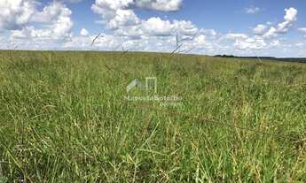 Imagem: Fazenda á venda município de Diamantino
