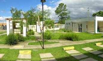 Imagem: Canoas - Apartamento Padrão - Mato Grande