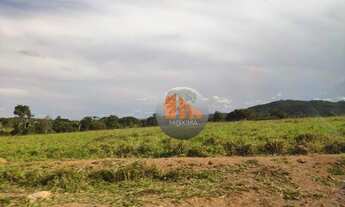 Imagem 5: Fazenda à venda, 210 alqueires por R$ 21.000.000 - Piranhas/GO