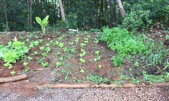 Imagem 3: Vendo 3 terrenos com 1575m2