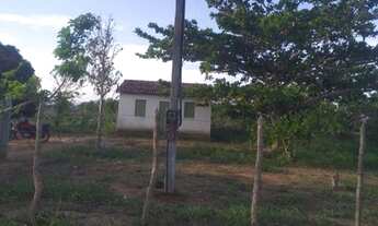 Imagem 2: Sítio em Lagoa do Itaenga Urgente. Seu sonho de ter um sítio vai se realizar