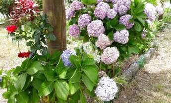 Imagem 2: Viamão - Terreno Padrão - Itapuã