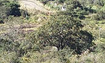 Imagem 3: Chacara com rio passando no fundo